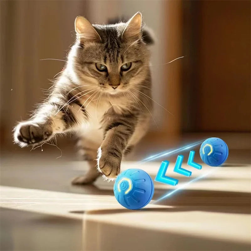Pelota Interactiva