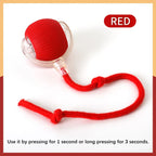 Pelota Interactiva